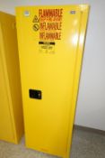Uline Flammables Storage Cabinet