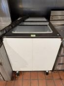 Silver King Meatwell Freezer