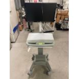 Mobile Laboratory Standing Desk