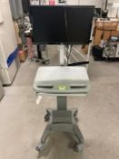 Mobile Laboratory Standing Desk