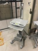 Mobile Laboratory Standing Desk