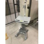 Mobile Laboratory Standing Desk