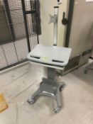 Mobile Laboratory Standing Desk