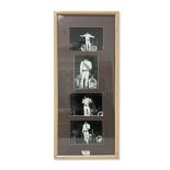 SERIES OF ELVIS PRESLEY PERFORMANCE PHOTOGRAPHS