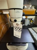 NIKON SMZ800 MICROSCOPE