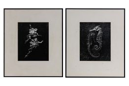 TWO FRAMED PHOTOGRAPHIC PRINTS BY KEN SEET