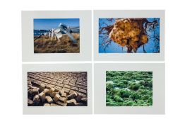 A SERIES OF TEXTURE PHOTOGRAPHY PRINTS BY PHILIPPS CONNOR