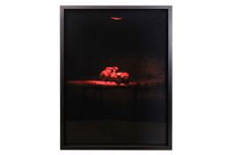 ROBERT ZHAO RENHUI (SINGAPOREAN, B. 1983) - A REALISED DREAM, EXPERIMENT #2, 2012