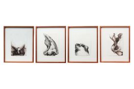 ERNEST CHAN (SINGAPOREAN, XX/XXI) CAPSICUM STUDIES (4)