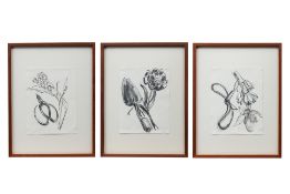 JIMMY ONG (SINGAPORE, B.1964) - THREE GARDENER'S JOURNAL SERIES WORKS