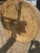 2024 Hay - (Norfolk)