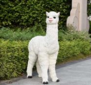NEW LIFESIZE FIBREGLASS ALPACA STANDING 1.15M HIGH