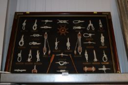 A Diorama of nautical knots