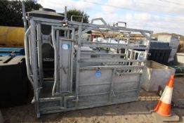 IAE galvanised cattle crush. With linkage and pall