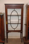 An early 20th Century mahogany china display cabinet, of narrow proportions enclosed by a single