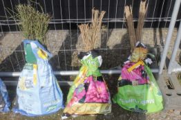 A bag containing 50 Hazel whips - Please note thi