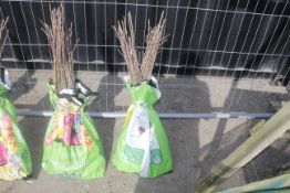 A bag containing 50 Sweet Chestnut whips - Please