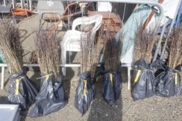 A bag containing 100 Hawthorn whips - Please note