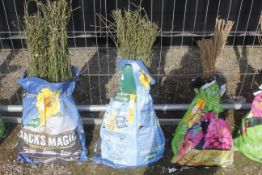 A bag containing 50 Field Roses - Please note thi