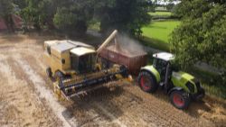 Timed Online Dispersal Auction of Combine, Tractors, Loader, Implements, Trailers & Spares