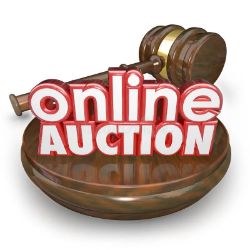 Timed Online Fundraising Auction In Support Of The Samaritans of Ipswich and East Suffolk
