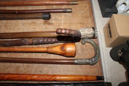 Four various walking sticks