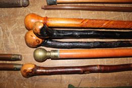 Five various walking sticks, one having brass hand