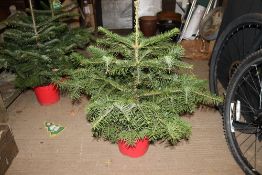 An approx. 2' Christmas tree