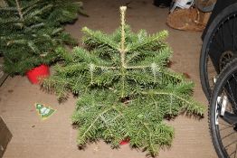 An approx. 2' Christmas tree
