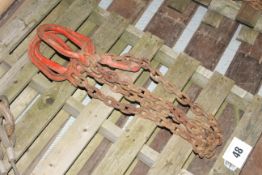 2 leg lifting chain.