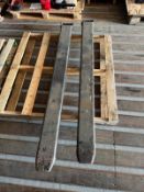 Pair of extension tines.