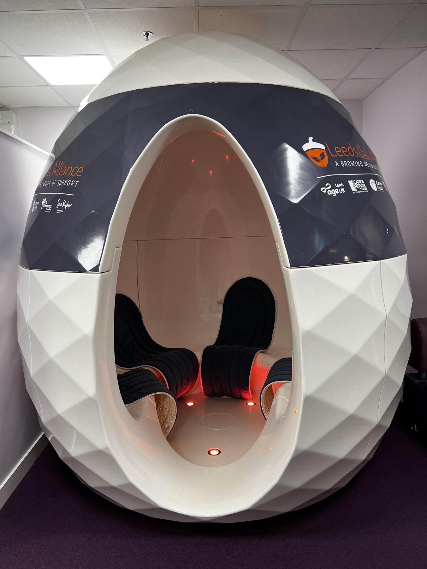 A SEED POD PORTABLE WELL-BEING MEETING POD (Ideal for offices). This ...