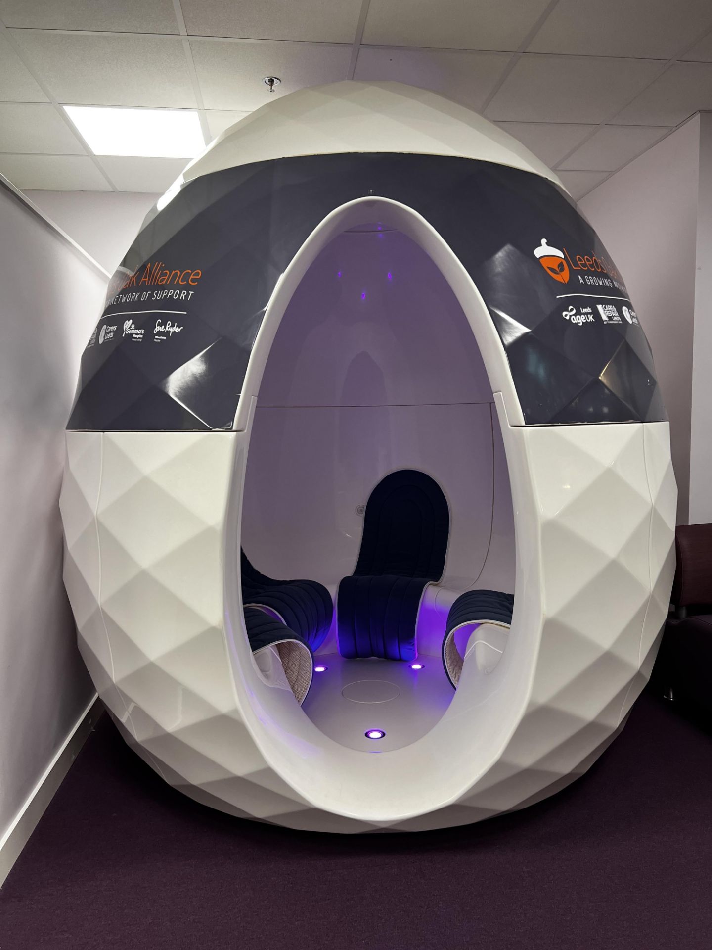 A SEED POD PORTABLE WELL-BEING MEETING POD (Ideal for offices). This ...