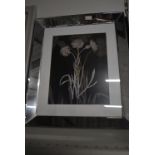 Pair of Mirror Framed Floral Prints