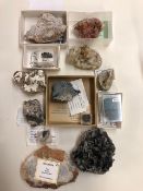 Collection of Geological Specimens, From Devon, Dorset, Cornwall, Celestine, Francolite, Gilbertite,
