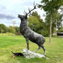 Antiques and Collectables