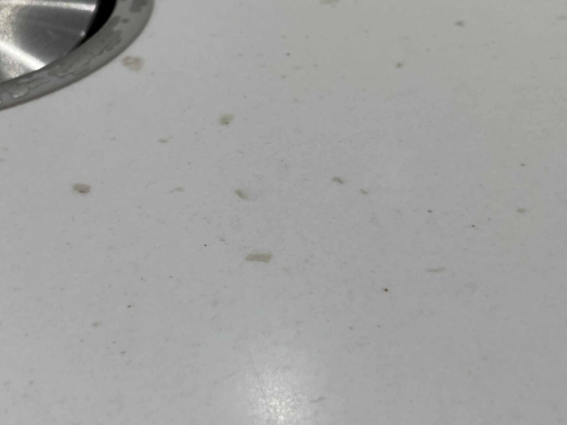 1 x Stunning Siematic S2 Luxury Kitchen with Gaggenau Appliances, from a Multimillion Pound Mansion - Image 28 of 99