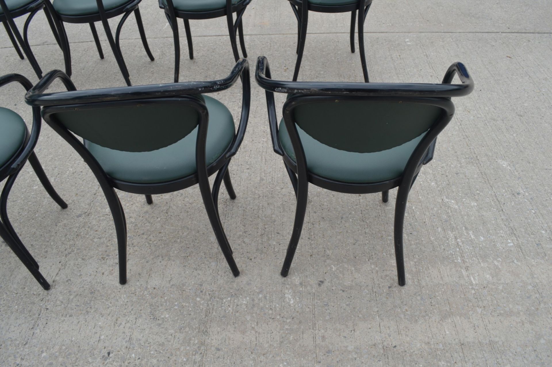 8 x Restaurant Dining Chairs Featuring a Bentwood Design with Dark Green Seats and Backrests - Image 11 of 11