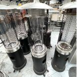 1 x Heat Outdoors Santini Spiral Flame 13.5kW Gas Freestanding Upright Patio Heater