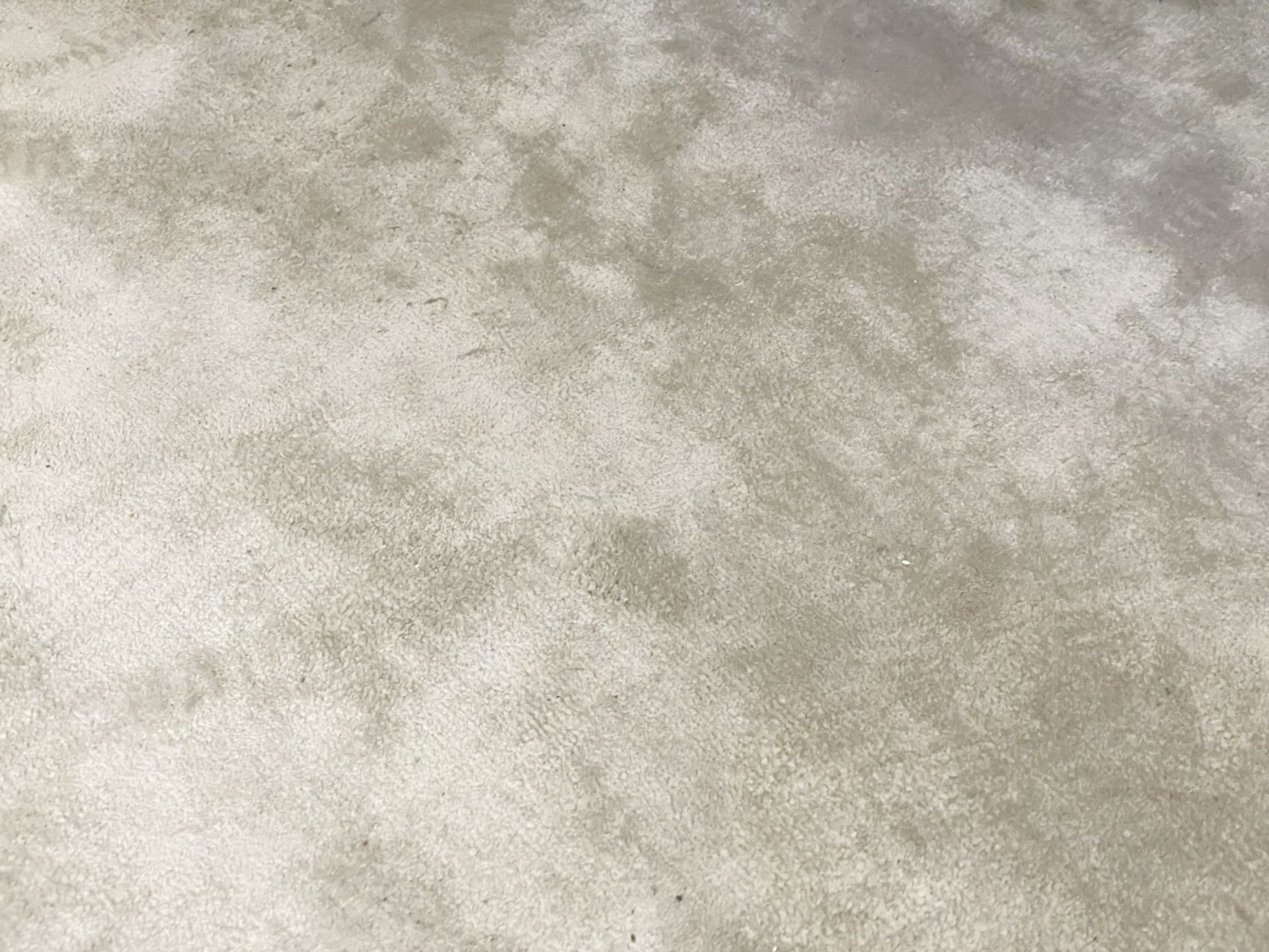 1 x Premium 3.4-Metre Long  Carpet Rug in a Light Neutral Tone - Recently Removed from a Luxury - Image 2 of 9