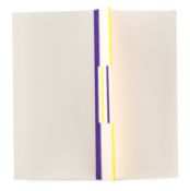 Willys de Castro. (1926