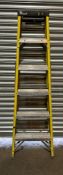 Youngman Professional Platform 6 Tread Stepladder