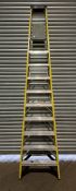 Youngman Professional Latform 10 Tread Stepladder