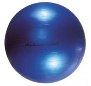 Quantity of Various Gym/Training Equipment | Includes: Speed/Agility Ladders, Yoga Balls & Skipping