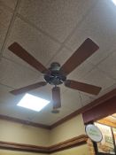 Ceiling fans