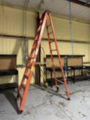 Werner Professional 10' Ladder 300 lb Capacity