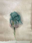 Bruno Bruni ( 1935 Gradara bei Pesaro/Italien)