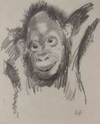 Franz Hauber - Affenstudie