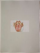 Joseph Beuys - Schamanentrommel