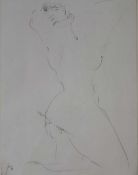 Herwig Zens- Aktstudie